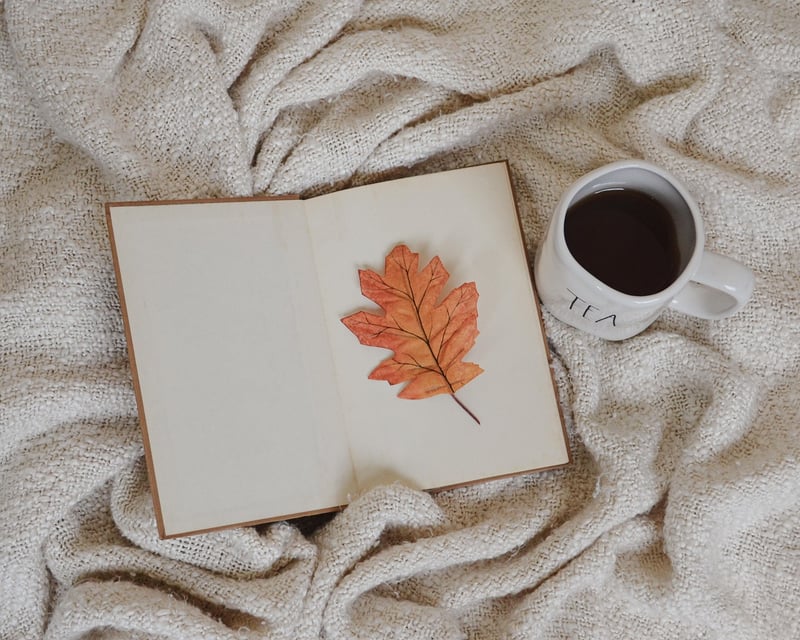 Mystery Books